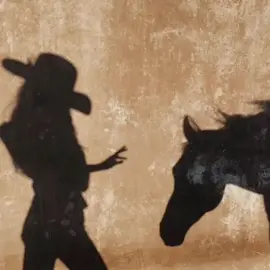 #withoutmusic #oldtownroad #horses #viral #vibes 