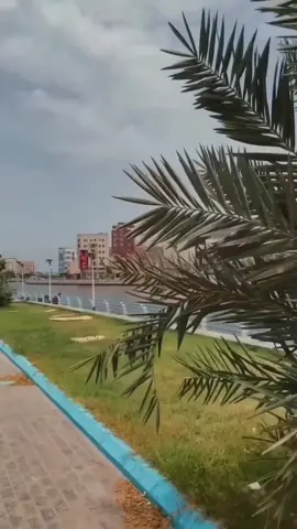 شيله واليمن اصله معادن حميريه... @🎤المنشدعبيدالدوعني 