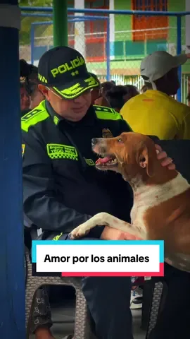 Hay encuentros que alegran el corazón. Porque servir también es encontrar momentos que reconfortan el alma. La conexión con nuestros amigos de cuatro patas nos recuerda el valor de la empatía, el cariño y la cercanía que fortalecen cada día nuestra labor. 🐕 #ProtecciónAnimal 