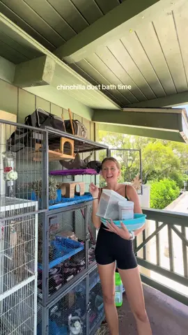 Favorite time for the chinchillas🥰🤝🫧🫧 