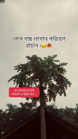পরিবেশ বাচান 🥴🍁 Maksudnya 