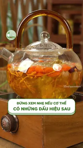 Bí quyết phục hồi thể lực, xua tan mệt mỏi và tiểu đêm nhờ một ấm Đông Trùng Tứ Vị mỗi sáng!  @Tiệm Trà An Nhiên Live #tiemtraannhien #dacsanvietnam #ocop #reviewlamdep #ancungtiktok 