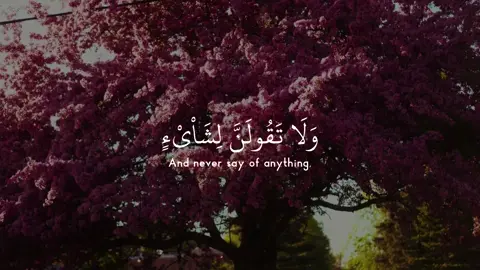 #quranrecitations #quran #مهدي_الشيشاني #fy #mahdiashshishani 