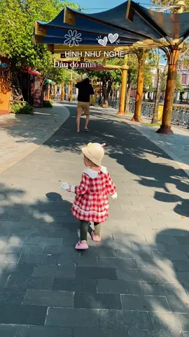 Khởi động mùa hè của bạn Mèo 🥰 #VinwondersNamHoiAn #dulich #Greencreator #as3t2gs 