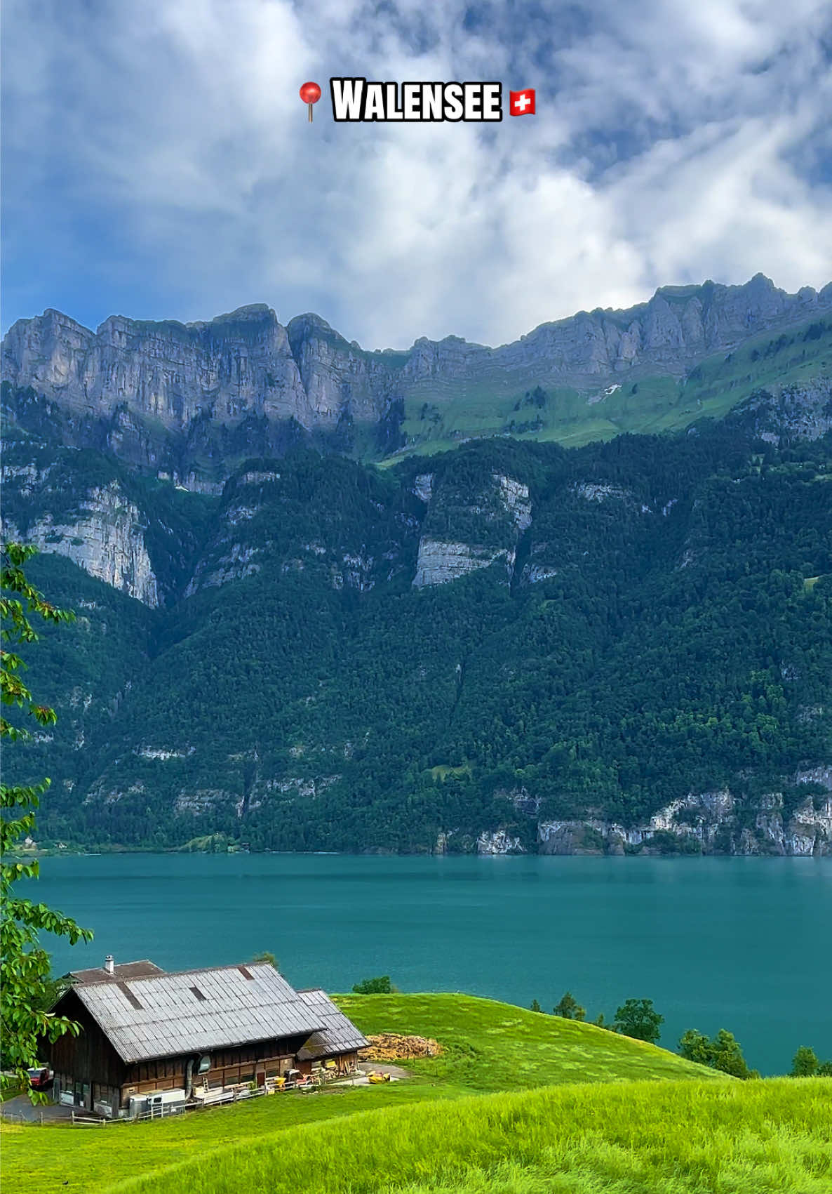 Walensee — where the mountains dive straight into the lake 💙🏔️🇨🇭 #Walensee #Switzerland #SwissAlps #LakeView #NatureLovers 