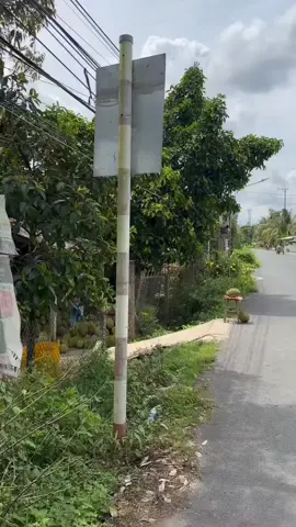 Nguồn : Cẩm Trần 