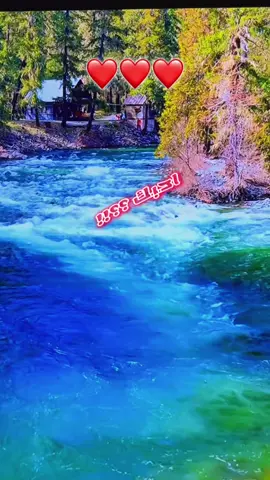 انت تدري اني احبك !!؟؟#اكسبلور #العراق #بغداد #hudashaker #يومياتي♥️H♥️ 