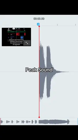 Dog and cat farting and burp #humor #barkfartmeme #goofysound #fyp #sound 