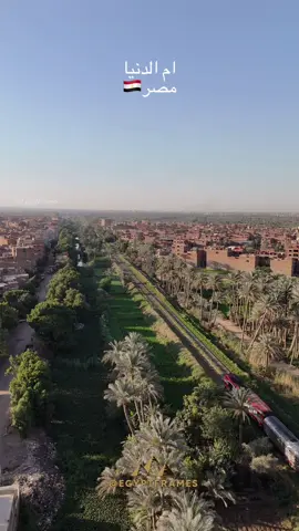 صوت القطر الصبح وسط الزرع… من الحاجات اللي تحسسك إن جمال مصر في تفاصيلها البسيطة 🚂🌿🇪🇬 #مصر #egypt #الصعيد #الريف_المصري #قطار_مصر 