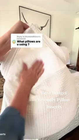 Replying to @DiamondStaxx Some of you asked what pillow inserts I use inside my Euro pillow covers, so here they are! These are what help give my bed that fuller, luxury hotel look without spending a fortune. If you’re trying to make your bed look more high-end, the right pillow inserts make a huge difference.  #LuxuryBeddingOnABudget #BestPillowInserts #EuroPillowsForBed #LuxuryHotelBeddingStyle #SummerWins 