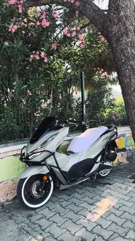 #pcx #kesfet #hondapcx #fyp 