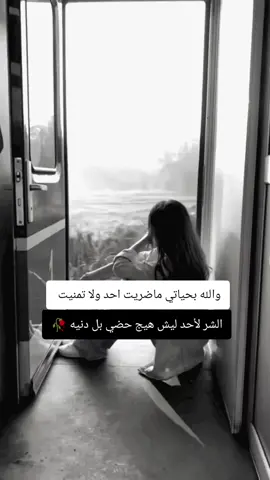 #كبرياء_انثى🖤 #fyp 