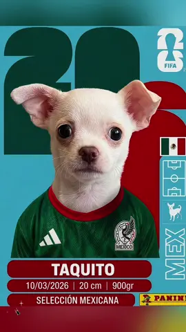 Estampa 🇲🇽 Estampa del mundial. descargar plantilla pdf mundial 2026. Cómo hacer la tendencia de tarjetas del Mundial 2026. Cómo hacer estampas Panini del Mundial 2026 con IA. Cómo hacer estampas de jugadores del Mundial 2026 con tus propias fotos. how to make custom fifa cards celebrity football card edit viral football card trend sports card ai tutorial world cup aesthetic edit football player intro template soccer card design tutorial celebrity soccer edit trend fifa card capcut template world cup card trend 2026.#mundial2026 #panini #estampas #capcut #capcutpioneer 