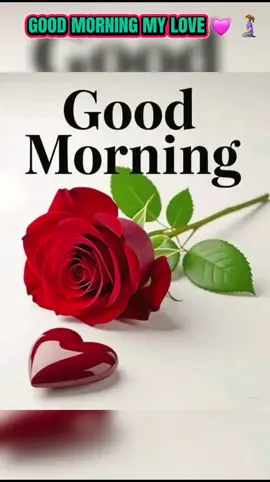 #creatorsearchinsights #foryou #JAMIE #🥰🥰🥰🥰❤️❤️❤️ #foryoupage 