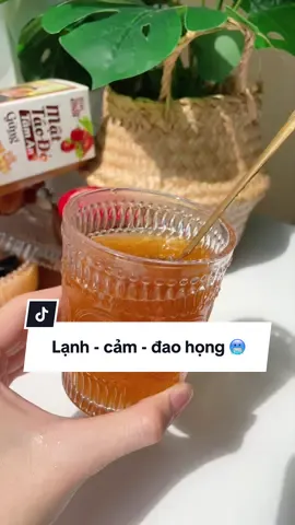 Mật táo đỏ GỪNG uống thơm mà thấy khác biệt luôn 🤗 #mattaodogung #mattaodogungtaman #thuanchayvietnam #hibidovn #salegiuathang 