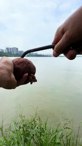#Câucatựnhiên #câucagiaitri #anhtaucauca #fishing #xuhuongtiktok 
