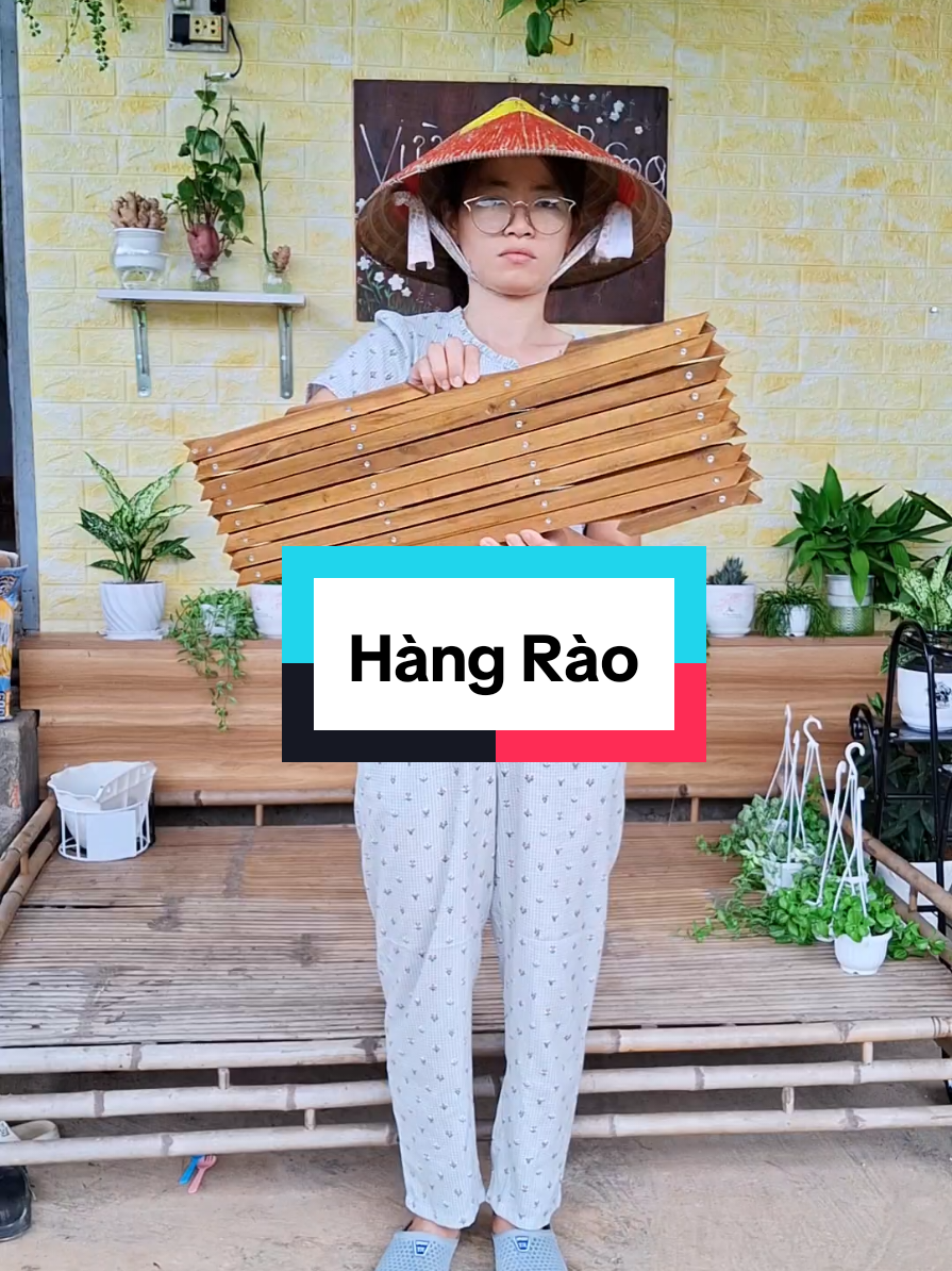Hàng rào trang trí sân vườn #hangrao #hangraotrangtri #bangraonhua #trangtrinhacua @Vườn Nhà Bông @Vườn Nhà Bông @Vườn Nhà Bông 
