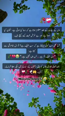 ماں کے جانے کے بعد معلوم ہوتا ہے کہ دعا کیا ہوتی ہے، سکون کیا ہوتا ہے، اور بے غرض محبت کسے کہتے ہیں۔ آج بھی جب کوئی پوچھتا ہے کہ سب ٹھیک ہے؟ تو دل خاموشی سے کہتا ہے: 