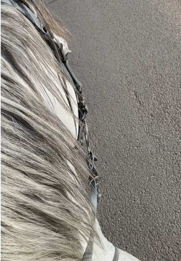 #ماشاءالله 