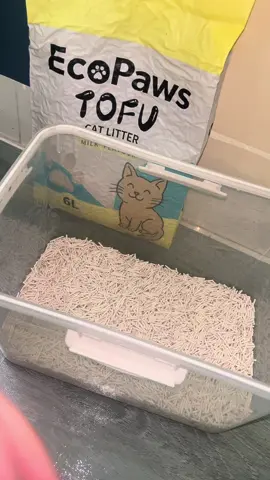 Cát đậu nành khử mùi đúng đỉnh luôn ạ #ecopaws #catdaunanh #happypetstore 