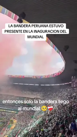 #sololabanderaeatuvoenmundial