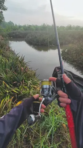 #câulure #fishing #xuhuong 