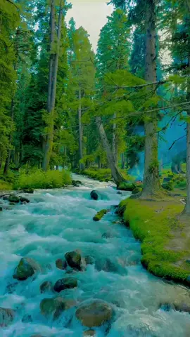 #AJK #❤️for😅❣️🥰😍🥰you #fffffffffffyyyyyyyyyyypppppppppppp #ppp❤️‍🔥❤️‍🔥♥️♥️👌 #viral #🥰😍views #foryoupage #🥰😍views 