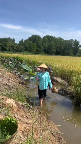 Nhỏ ở nhà Ba Má không cho mần ruộng lớn lên đi mần ruộng không. Quá đã 🤣  🎬Đón xem phim 
