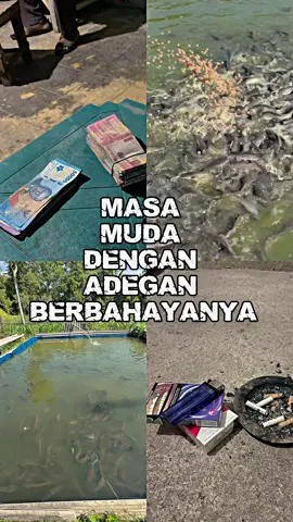 JANGAN BUDIDAYA LELE.!! #dunialele #budidayalele #budidayaikan #lele #lelekonsumsi 
