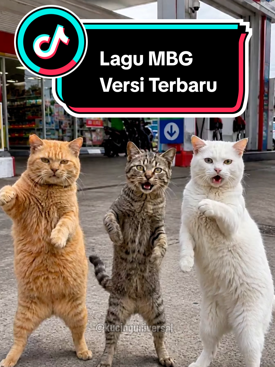 Trio Kucing joget lagu MBG terbaru Mas Bahlil Gemblung. #kucinglucu #kucingtiktok #mbg #laguviral #fyp 