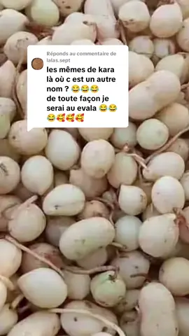 Réponse à @lalas.sept #😂😂😂 #togolais228🇹🇬 #togolais228🇹🇬 #pourtoi 