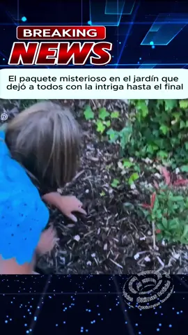 #amor 