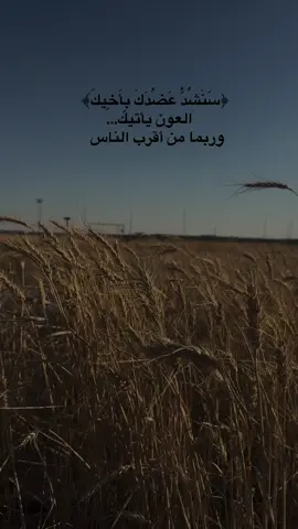 #اللهم_صلي_على_نبينا_محمد #دعاء_يريح_القلوب #ارح_سمعك_بالقران #تصويري_احترافي_الاجواء 