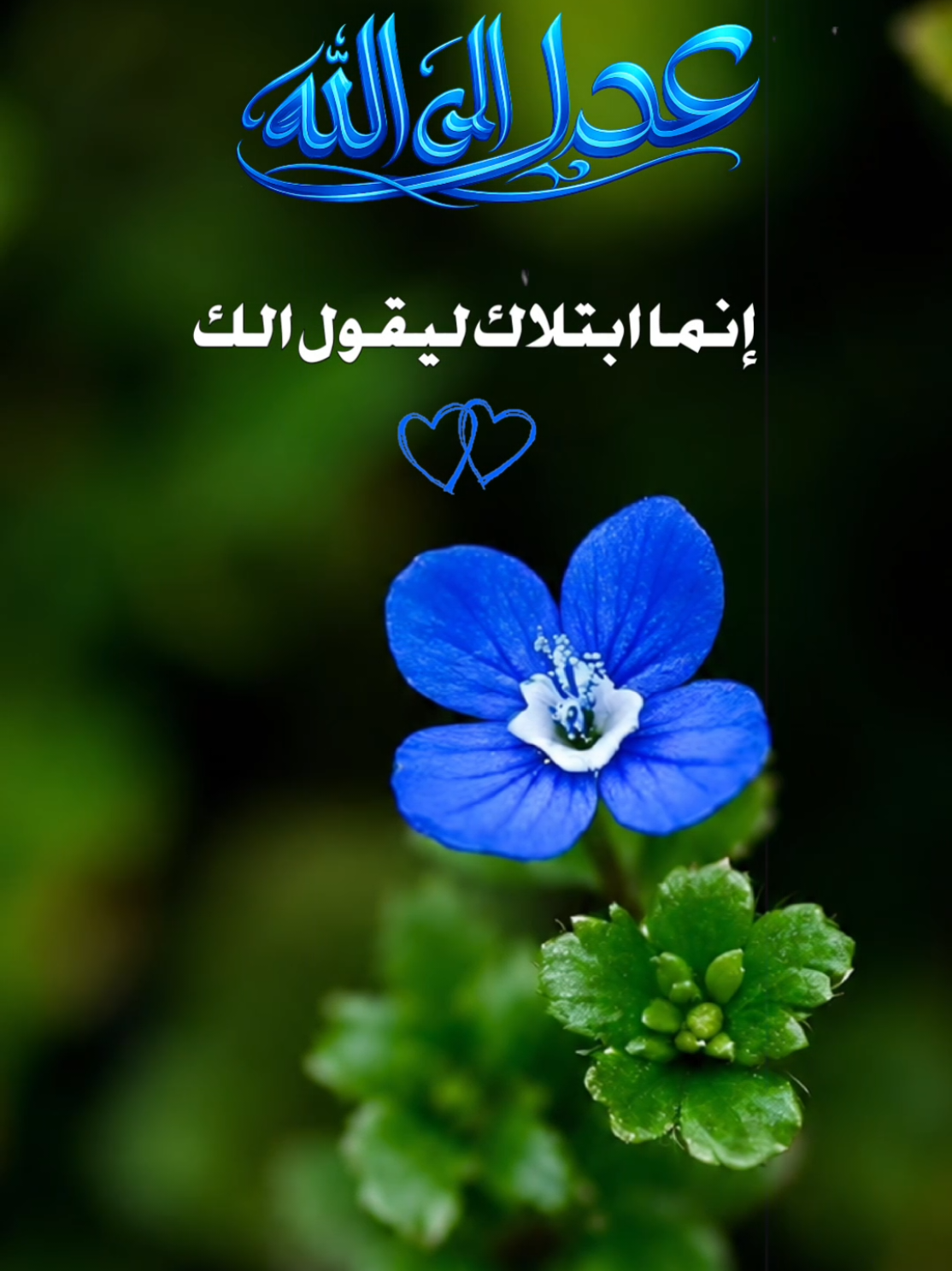 إنما ابتلاك ليقول الك #عد_الى_الله❤❤ 
