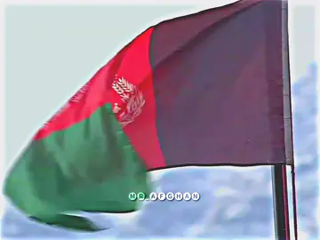 Afghan Hiro Today Inshaulla Big Win//🥵👀#afghanistan🇦🇫 #fyp #cricketlove #foryoupage❤️❤️ #trendingvideo #100kviews #plzunfreezemyaccout #plzviral #growmyaccount 