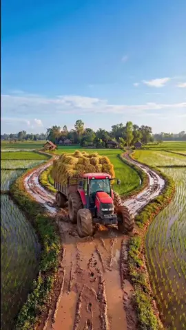 #AI #ChatGPT #AITools #AIVideo #Shorts #YouTubeShorts #ViralShorts #TrendingShorts #FYP #Viral #Trending #ExplorePage #ContentCreator #Tech #FutureTech 