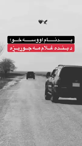 اوری قربان ملتیا مو غواړم🤍💯🖐🏽🥀#f #for #fashiontiktok #پشتون_تاجیک_هزاره_ازبک_زنده_باد #germany🇩🇪_tik_tok ..