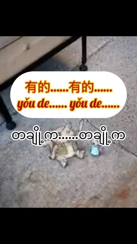 တချို့ကတချို့က #lotuschinese7 #Foryou 