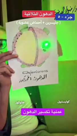 جزء - ( ٥ ) الدهون الثلاثية #creatorsearchinsights #foryourpage #foryoupage❤️❤️ #tiktokviral #explore 
