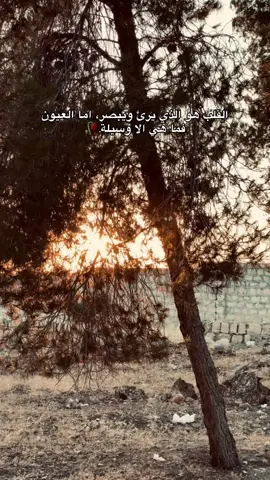 #تصويري #ايعدت_نشر🔃 #ليك #ترند #شعب_الصيني_ماله_حل😂😂 