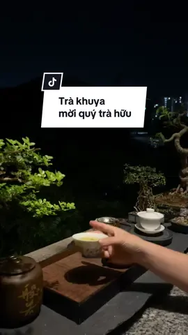 Còn duyên kẻ đón, người đưa Hết duyên đi sớm, về khuya một mình Trà khuya một mình một chén mời các chị các ah.🍵🍃#trakhuya #chuyentra #cuoituanvuive #thuongtra #phamgiatrapg 