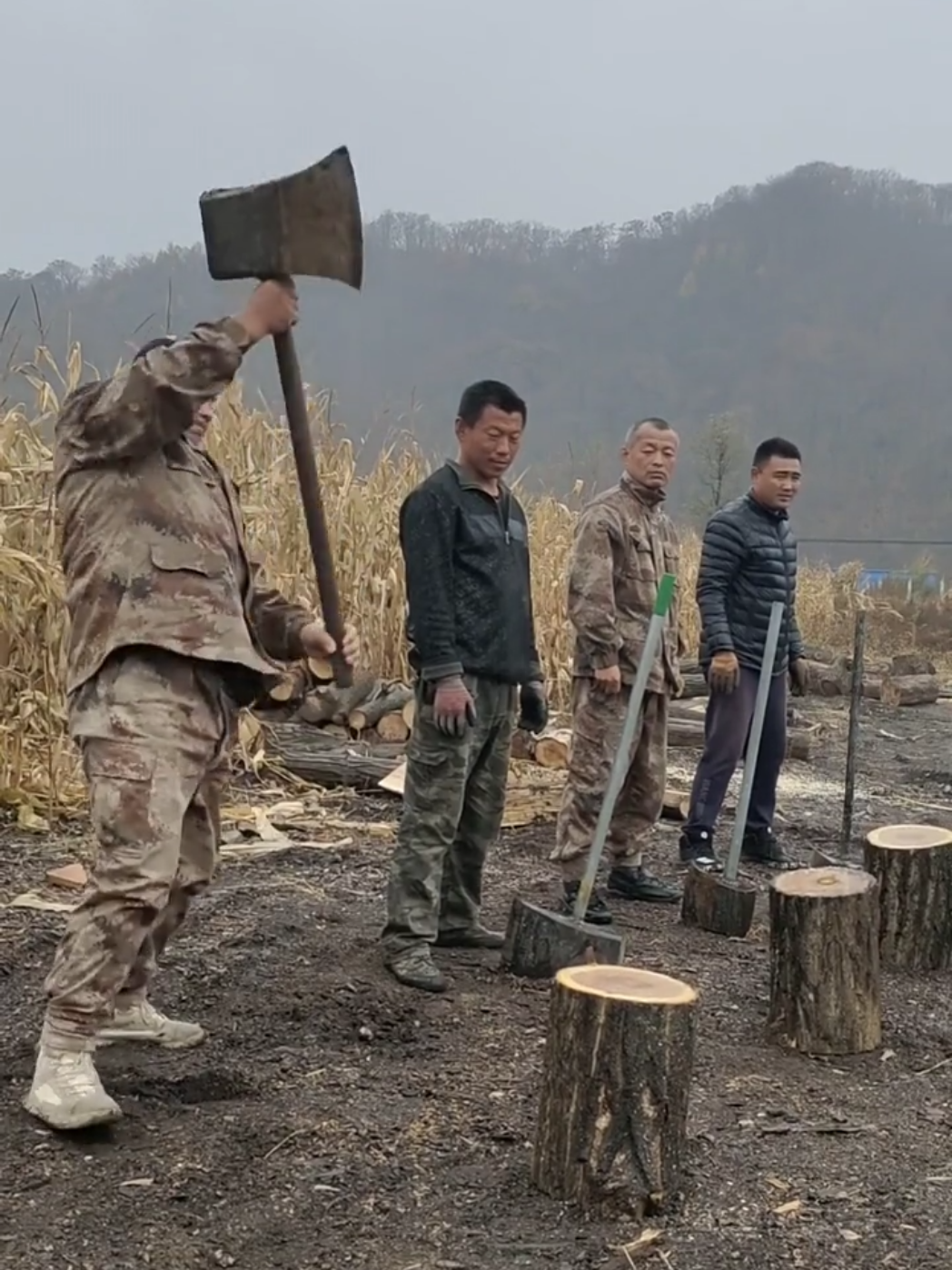 Welche ist die beste?💥🪓 💪 #WoodCutting #WoodChopping #Holzfäller #Battle #Satisfying 