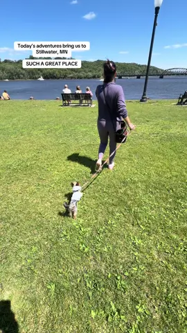 Absolutely love this place!  Reminds me of walking around a small town in TX. #dog #dogsoftiktok #pet #stillwaterminnesota #dogmom 