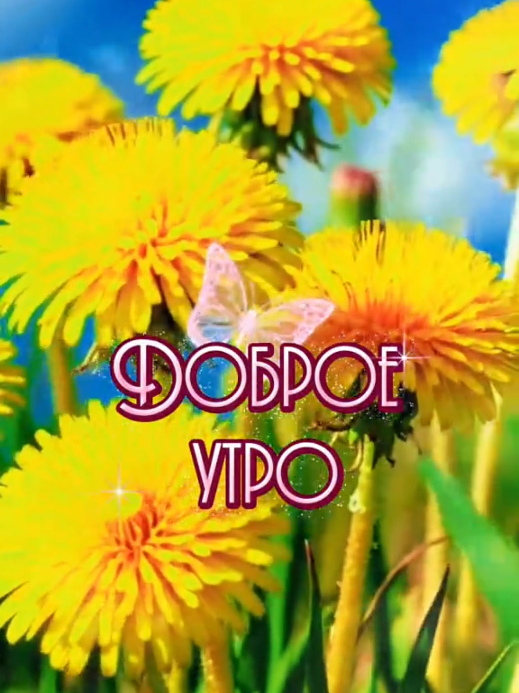 #Доброе утро#пожелание 