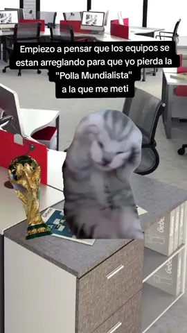 #gatohechizos #mundial2026🇲🇽🇺🇸🇨🇦 
