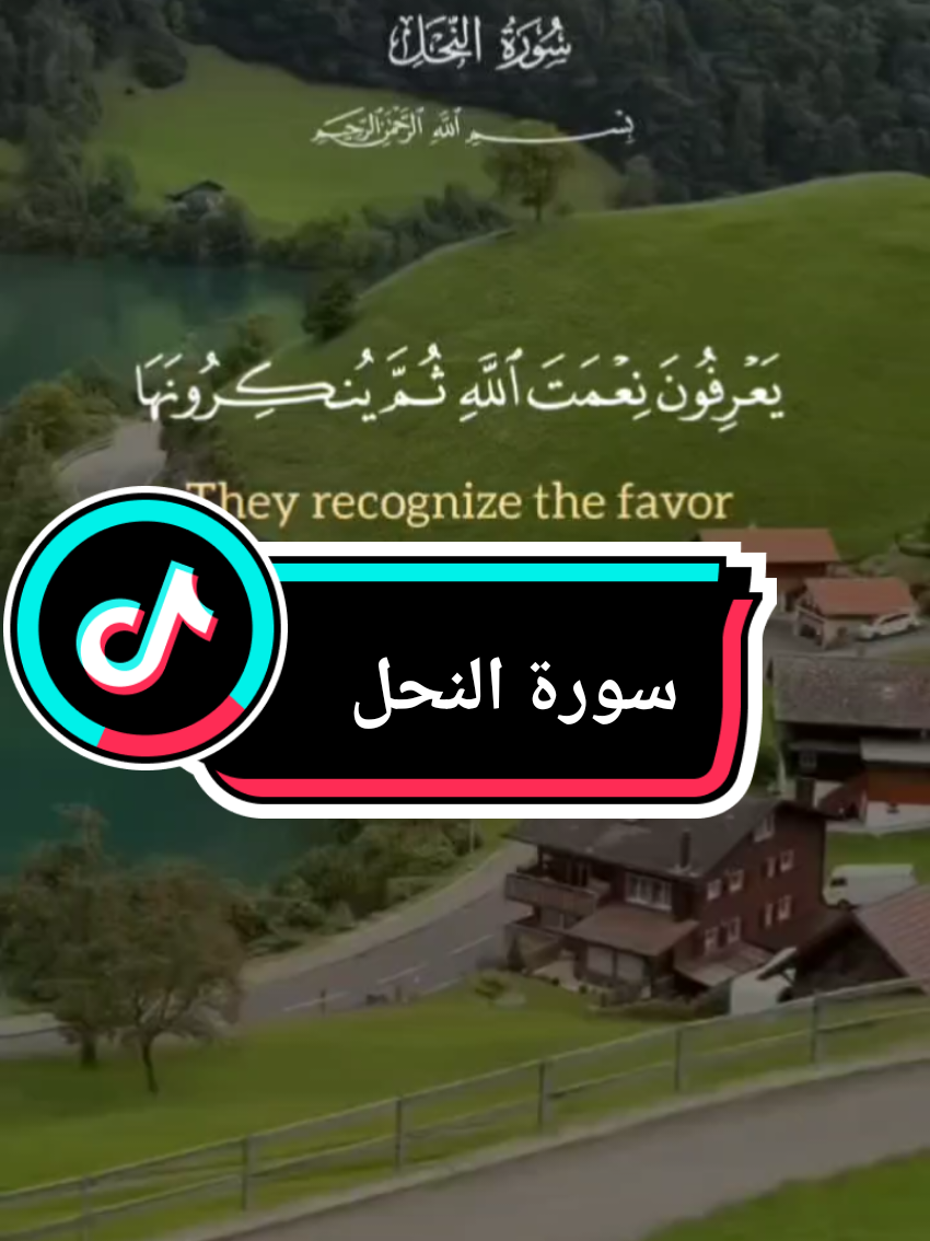 {يَعْرِفُونَ نِعْمَتَ اللَّهِ ثُمَّ يُنكِرُونَهَا} #سورة_النحل #الله #قران_كريم #wafaa_wattan 