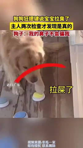 狗狗狂摁键说宝宝拉臭了，主人两次检查才发现是真的！