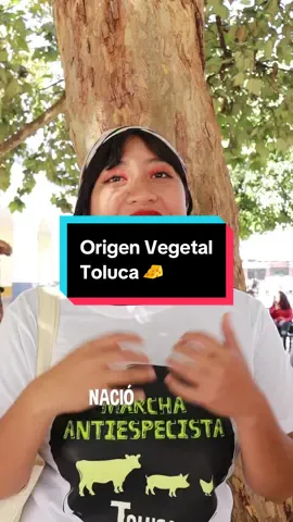 ¿Conoces a @origen.veggano ? 🧀 Quesitos veganos deliciosos,  ✅ Libre de grasas saturadas ✅ Alto en proteína  ✅ Libre de conservadores ✅ Sin saborizantes artificiales  elaborados por la nutrióloga @veganeando.ando  Encuéntralos en @s34lib o envía DM a @origen.veggano 📍