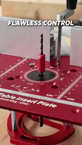 Woodworking Flip Plate and Router Lift Kit, Metric & Inch Stroke Scale, 65mm Motors, Router Table Accessories, Aluminum Alloy #truckaccessories #cuttingboard #screwdriverbits #workshoptools #barbertools #vehicleaccessories #homeaccessory #automechanictools #toolloversmusthave #drillaccessory