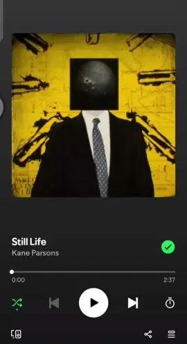 Still Life #backrooms  #song